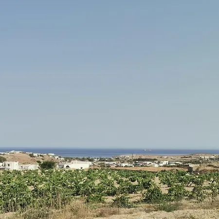Vineyard House Παρασπόρι