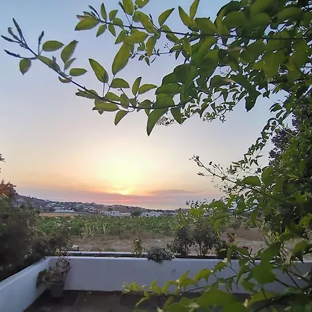 Vineyard House Σπίτι διακοπών