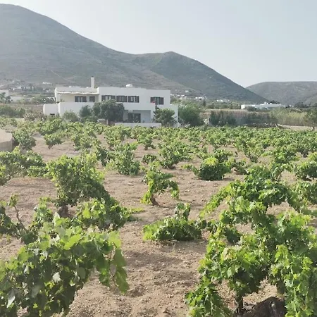 Vineyard House *